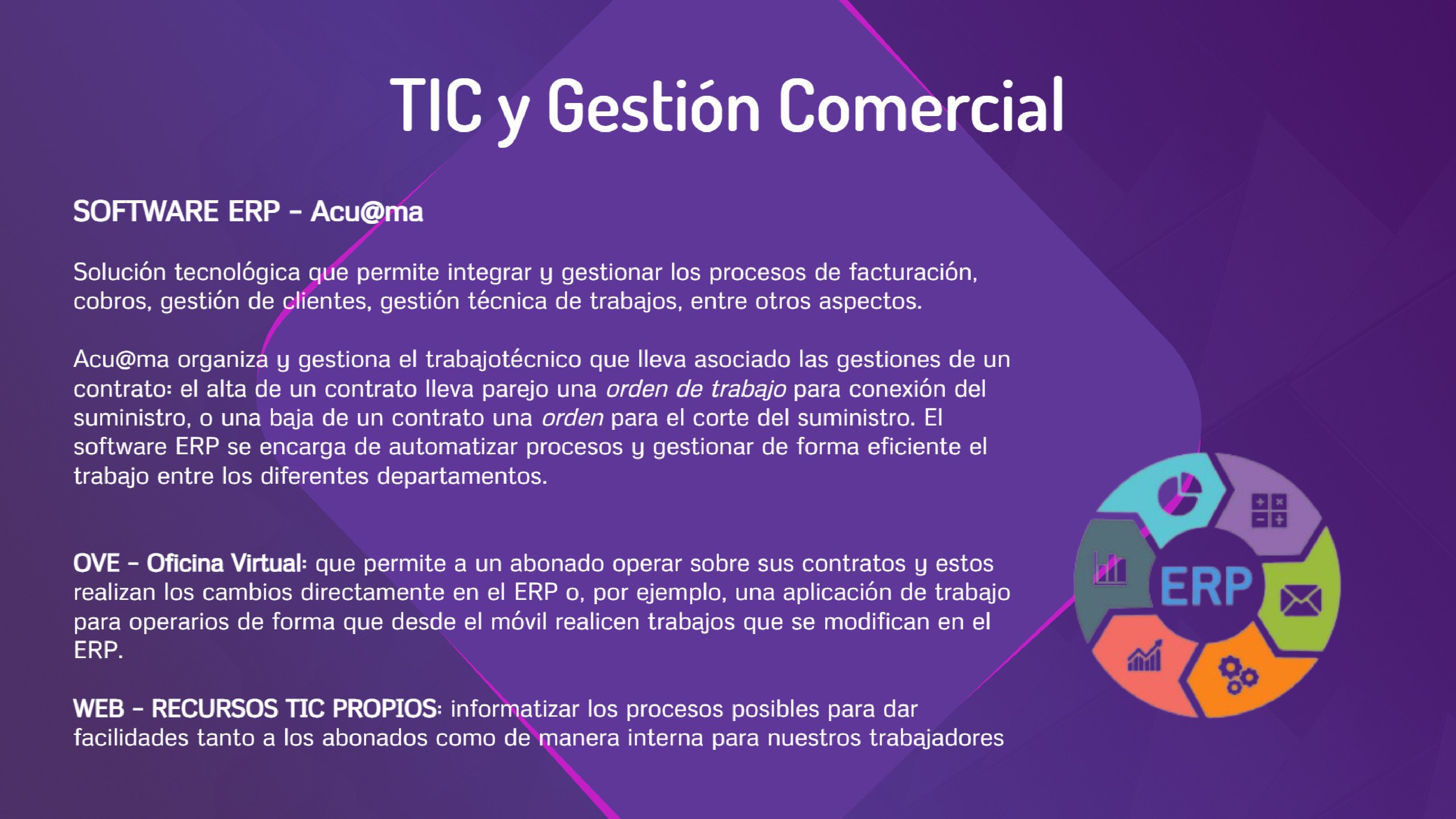 TIC y Gestion Comercial